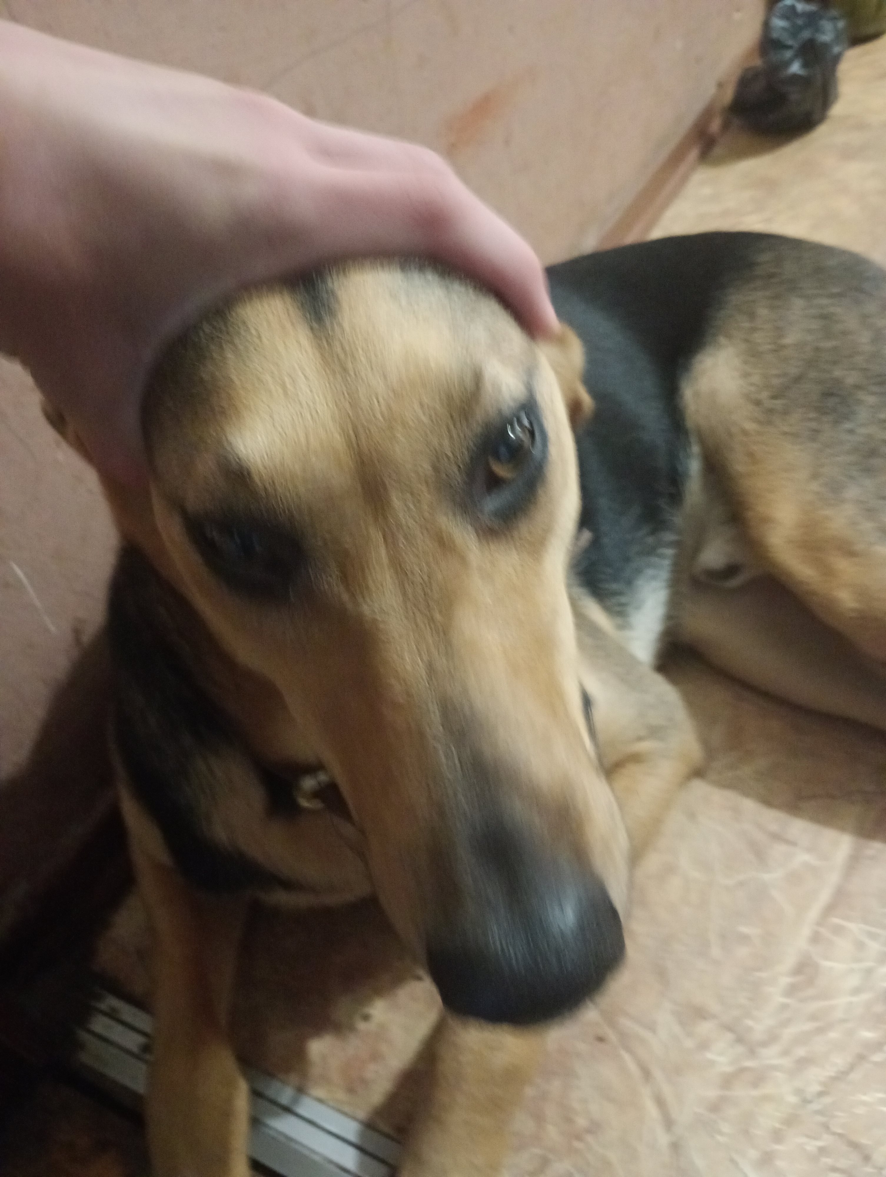 Michno